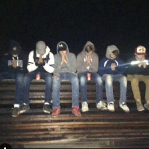 Meet your Posher, Coco - Picture 1 of 1